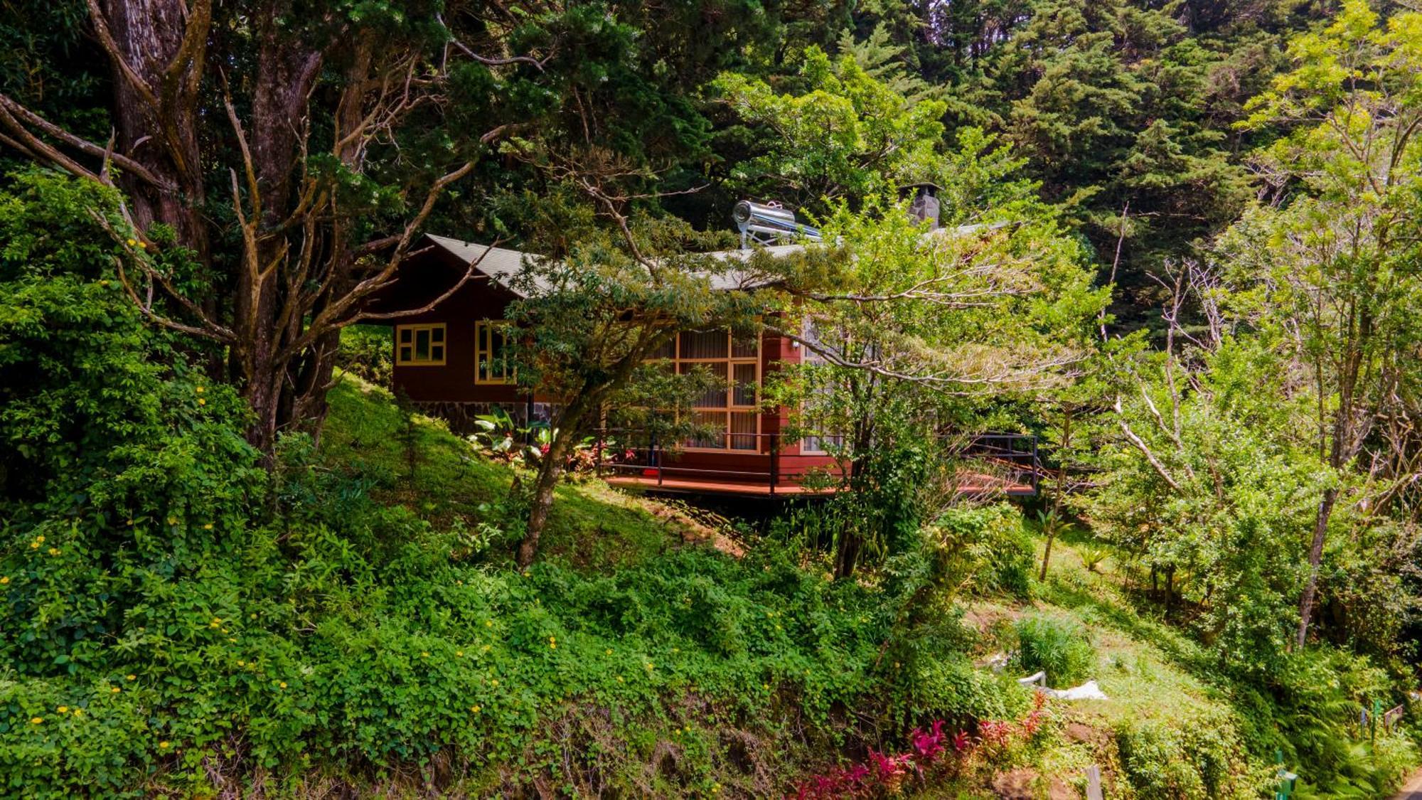 Los Pinos Cabins & Reserve Monteverde ภายนอก รูปภาพ