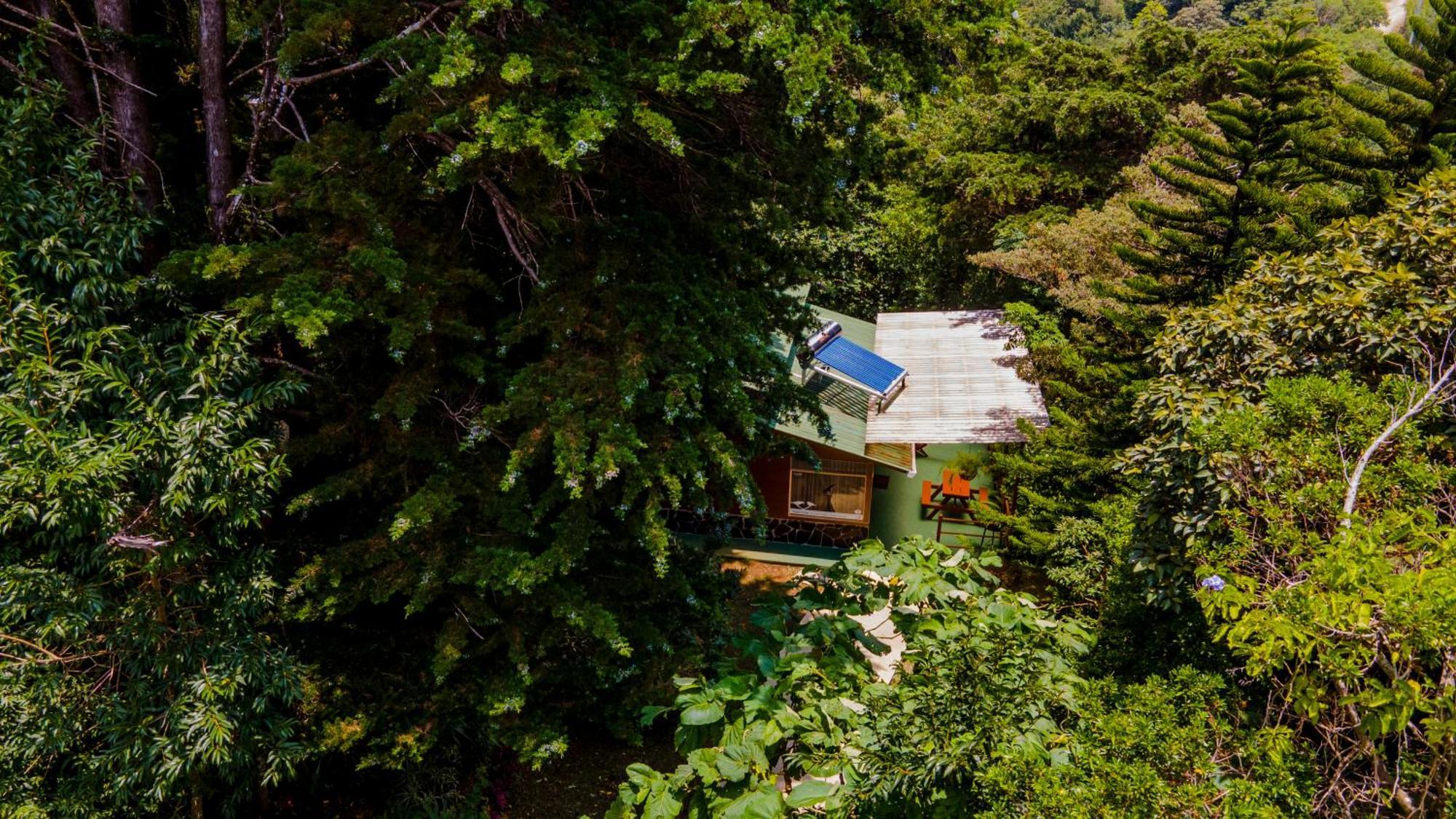 Los Pinos Cabins & Reserve Monteverde ภายนอก รูปภาพ